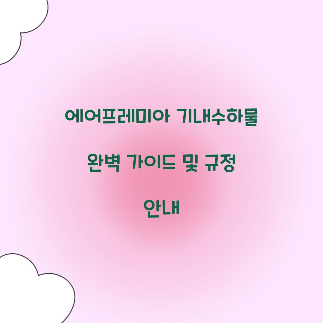 에어프레미아 기내수하물