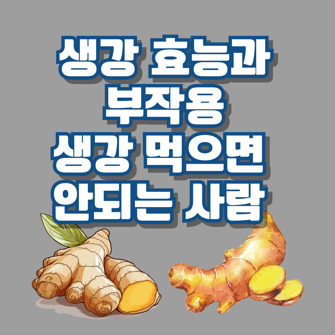 생강 효능과 부작용 생강을 먹으면 안되는 사람 총정리