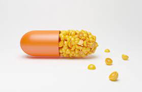 콘드로이친 1200mg 가격 효능 (내돈내산 후기)