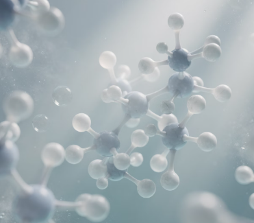 루이보스차의 효능