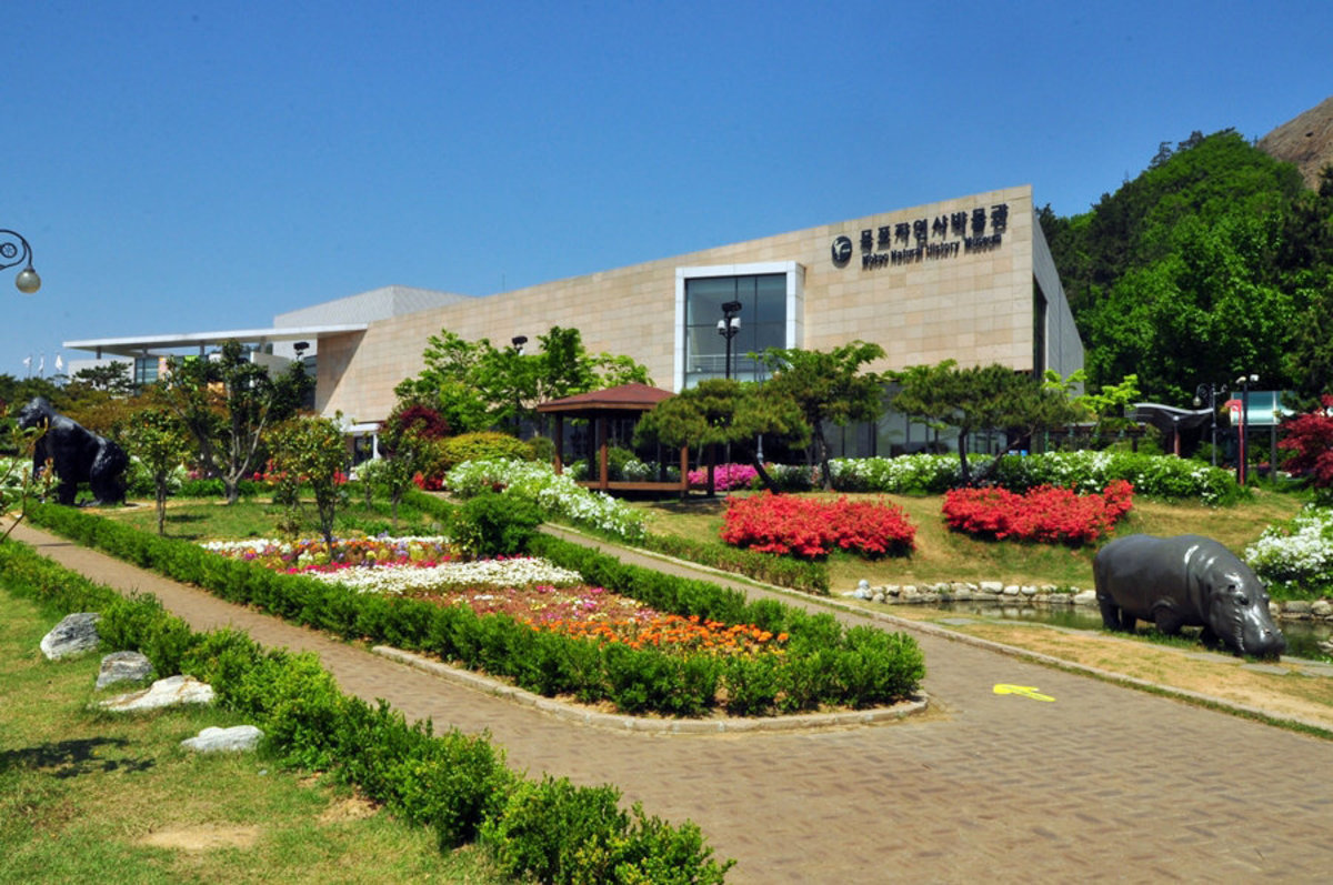 목포자연사박물관