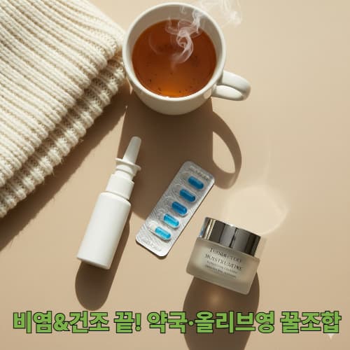 겨울철 건조함과 비염 탈출! 드럭스토어 & 약국 추천 상비약 리스트