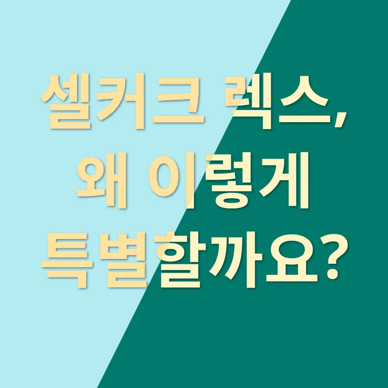 곱슬고양이_1
