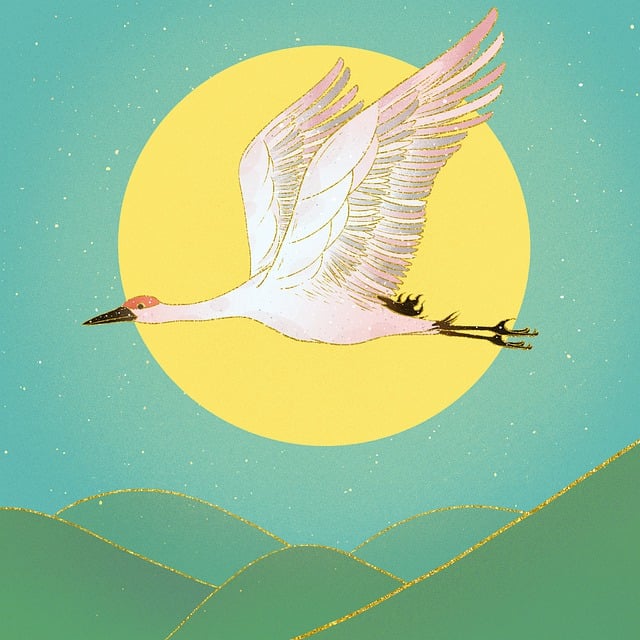 유아 수조작 놀이&amp;#44; 숫자와 친해지는 가장 즐거운 방법!