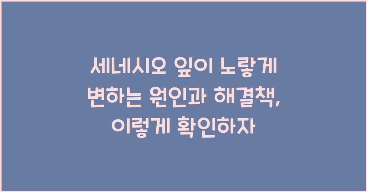 세네시오 잎이 노랗게 변하는 원인과 해결책