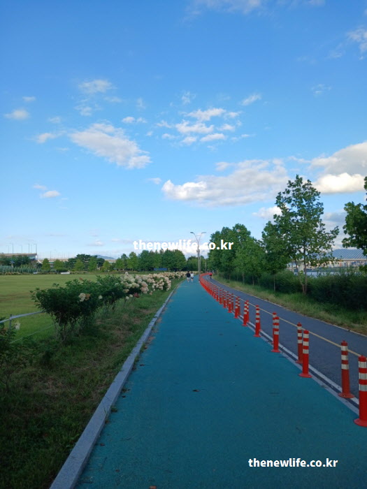 당뇨에 좋은 음식만큼 중요한 자전거 도로 운동 사진