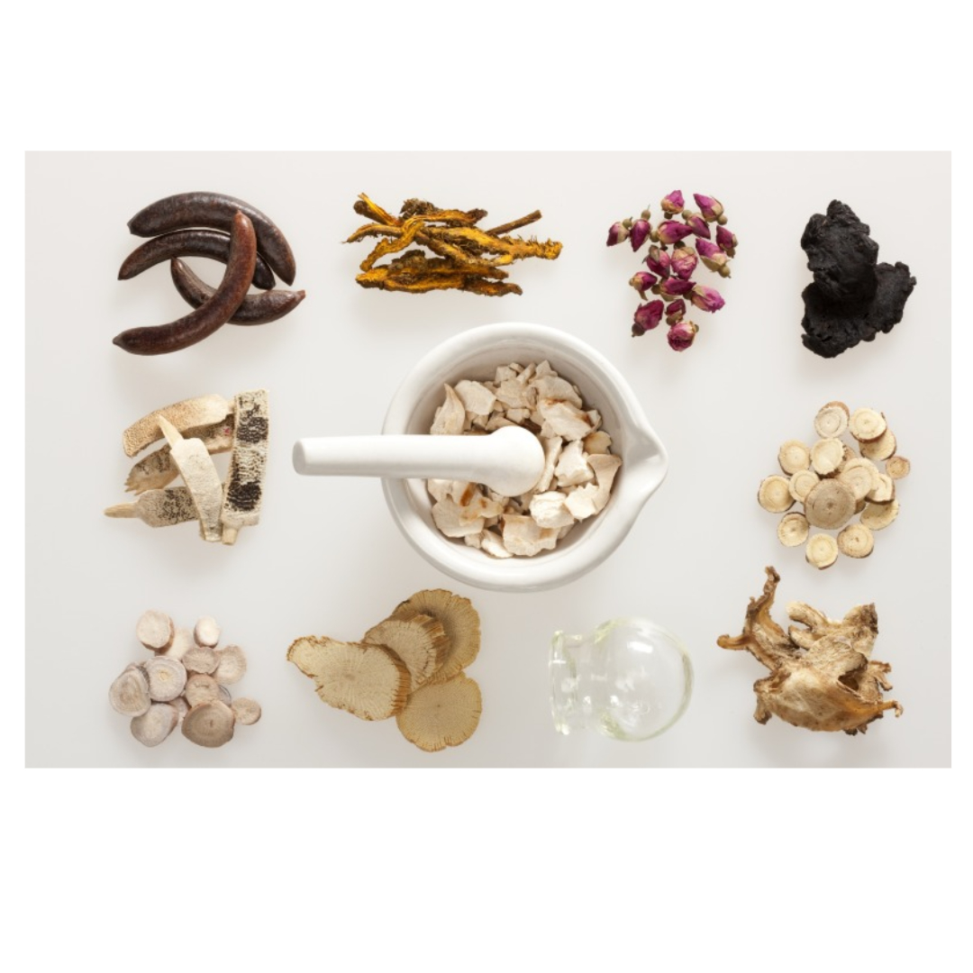 녹용과 관련된 사진입니다.