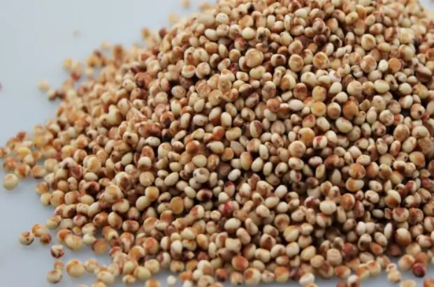 오곡밥 재료 - 수수쌀