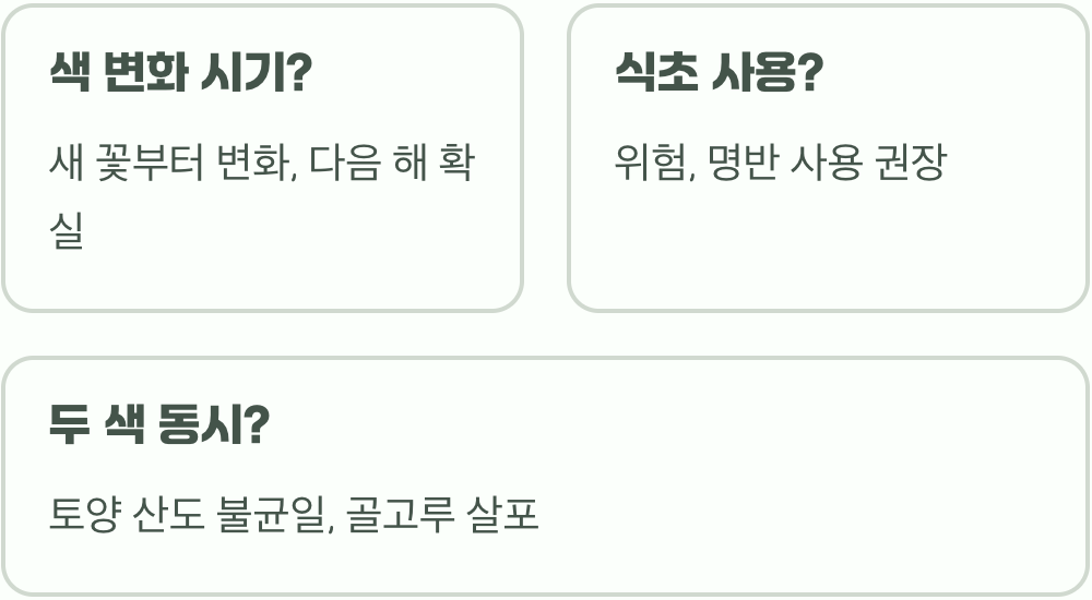 파란색 수국 만들기&amp;#44; 토양 산도(pH) 조절로 색깔 바꾸는 마법 같은 비법