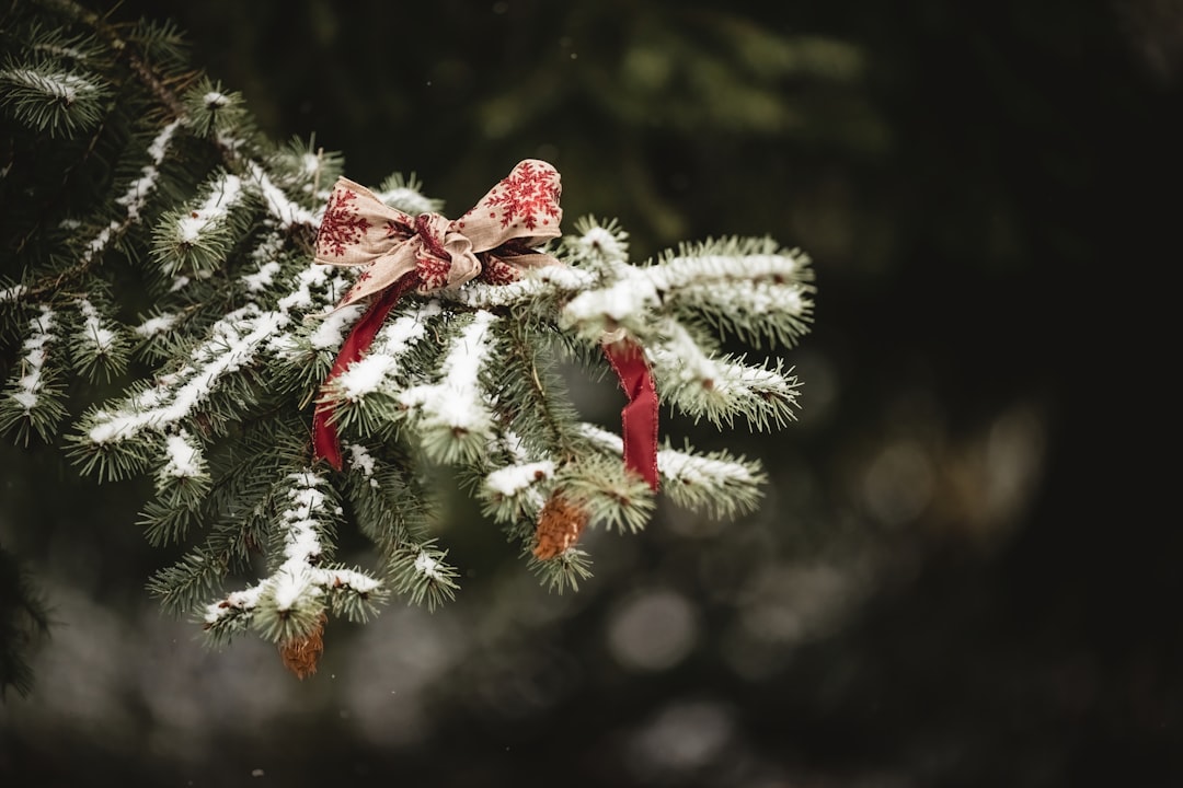 Seasonality