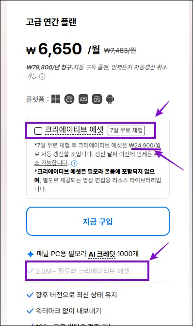 필모라 결제 시 주의할 점