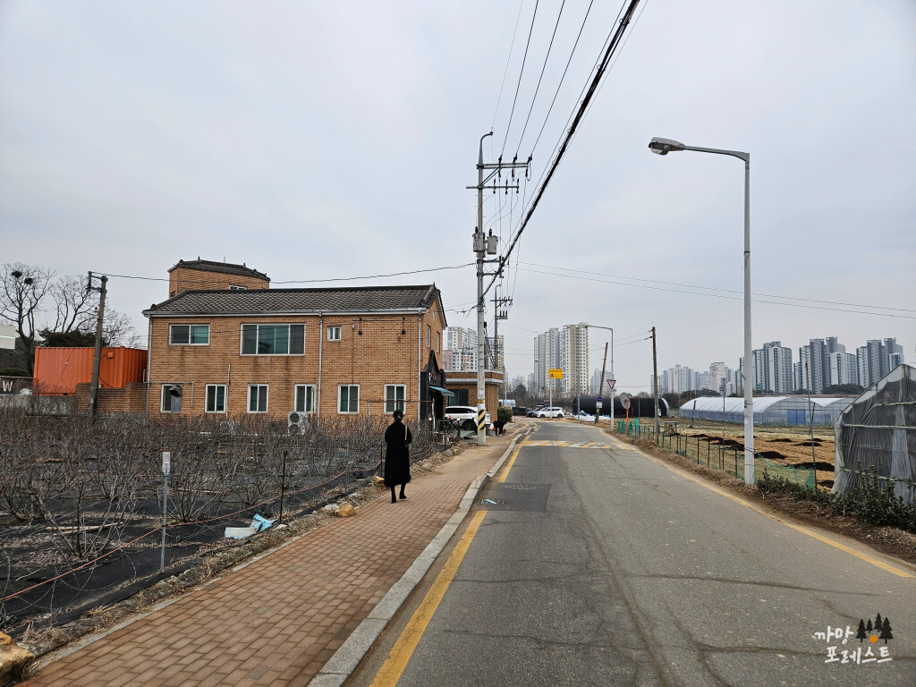 포커스온나우 주차