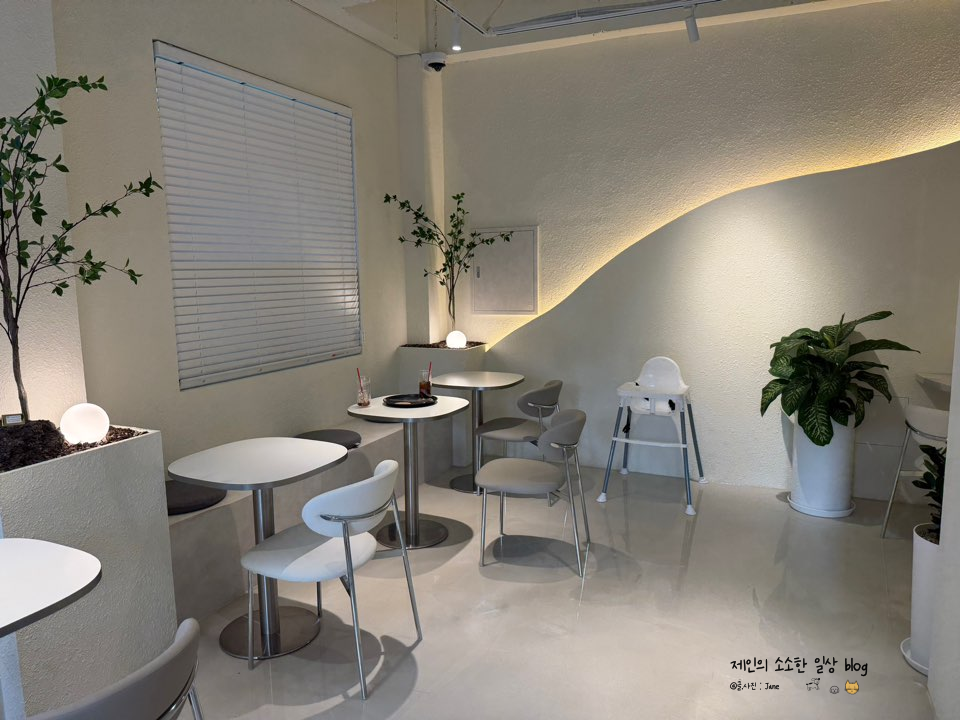 파주운정애견동반카페