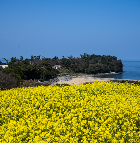 제주도 한적한 마을 관련 이미지