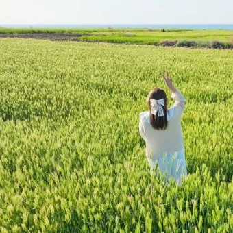 제주 가파도 가는 운진항 배 시간표 요금 예약 예매_15