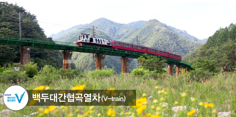 백두대간협곡열차(V-트레인)
