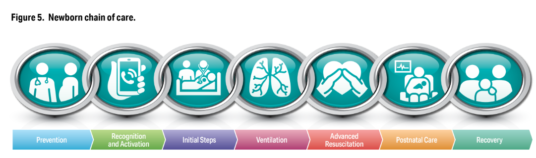 2025 AHA guideline_newborn chain of care