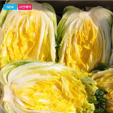 절임배추 20kg 몇 포기