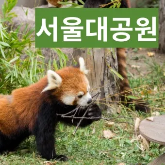 서울대공원 캠핑장 둘레길 동물원 입장료 맛집_4