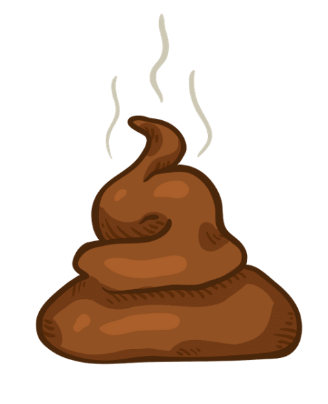 똥 꿈해몽 풀이