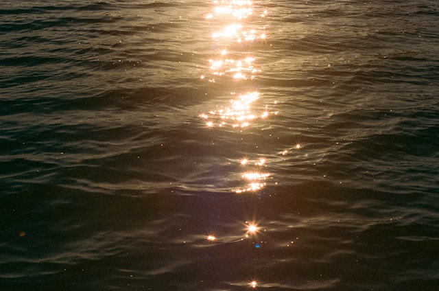 2026년 새해 카톡 메시지 완벽 가이드