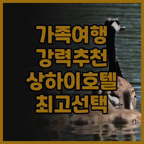 충밍 진마오 하얏트 리젠시 호텔 후기..