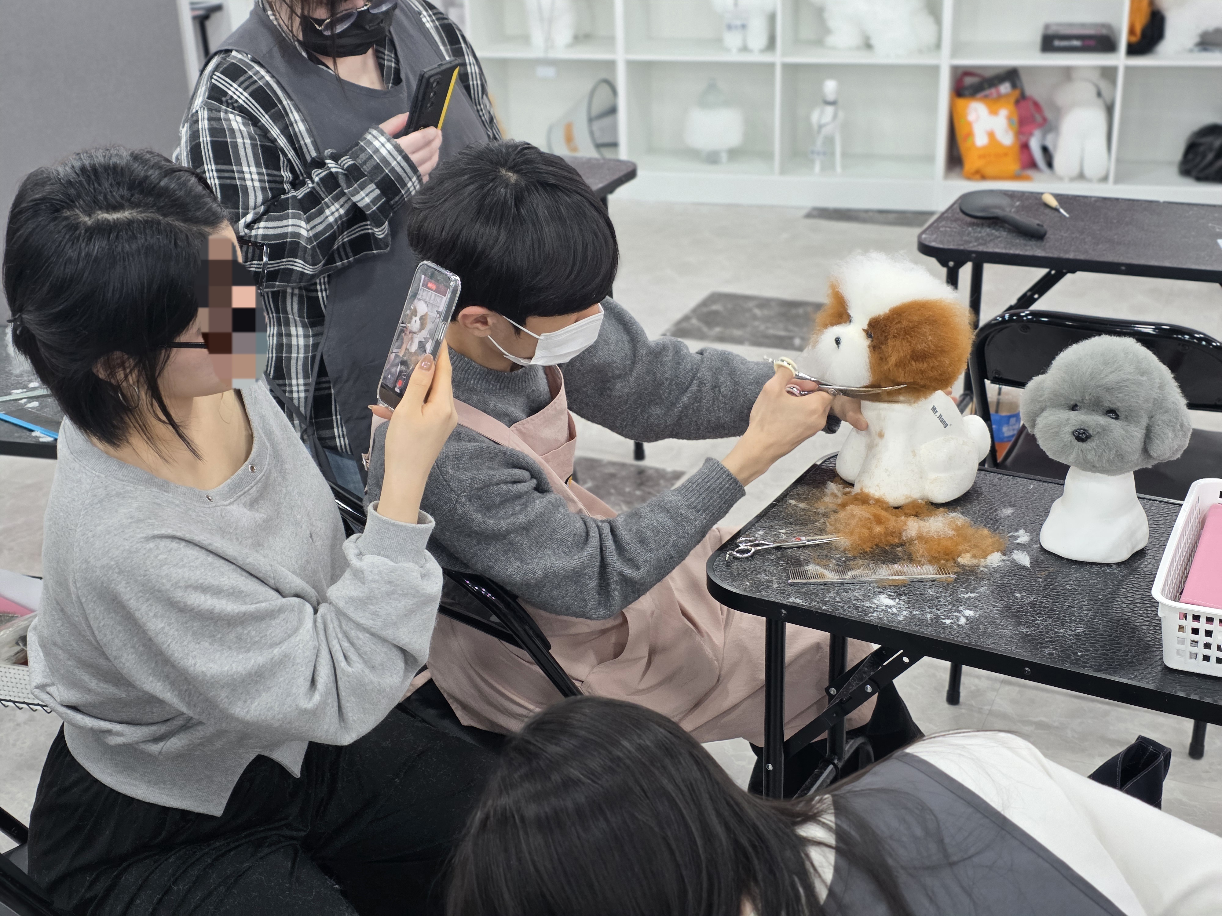 구월동애견미용학원