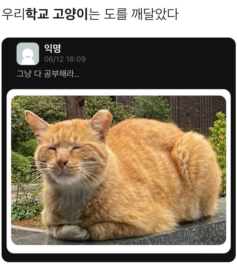 우리학교 고양이는 도를 깨달았다 
익명 
06/12 18:09 
그냥 다 공부해라..