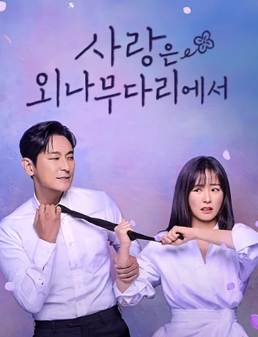 사랑은 외나무다리에서