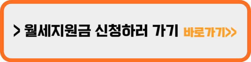 2024 청년월세지원금