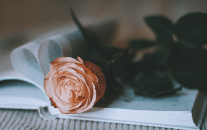 스승의 날 선물