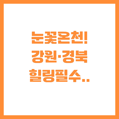 눈꽃 절경 온천 여행: 강원·경북 명..