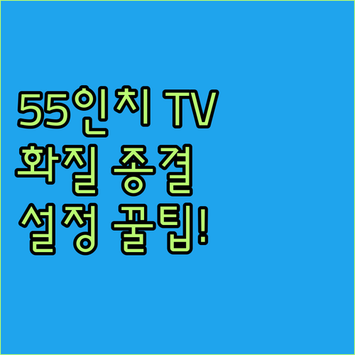 55인치 TV 모니터 활용법과 더함 ..