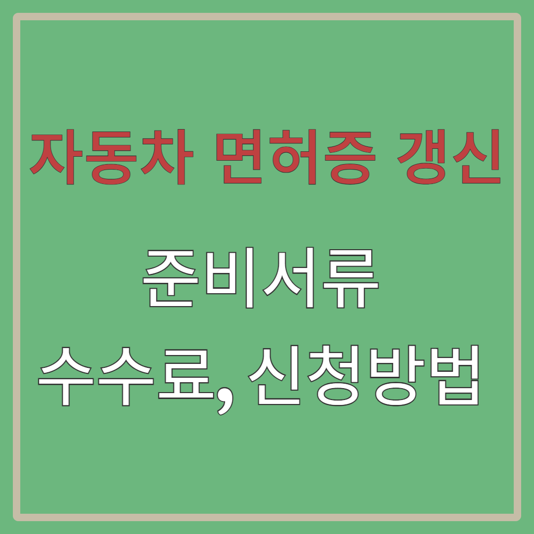자동차면허증 갱신 대표사진