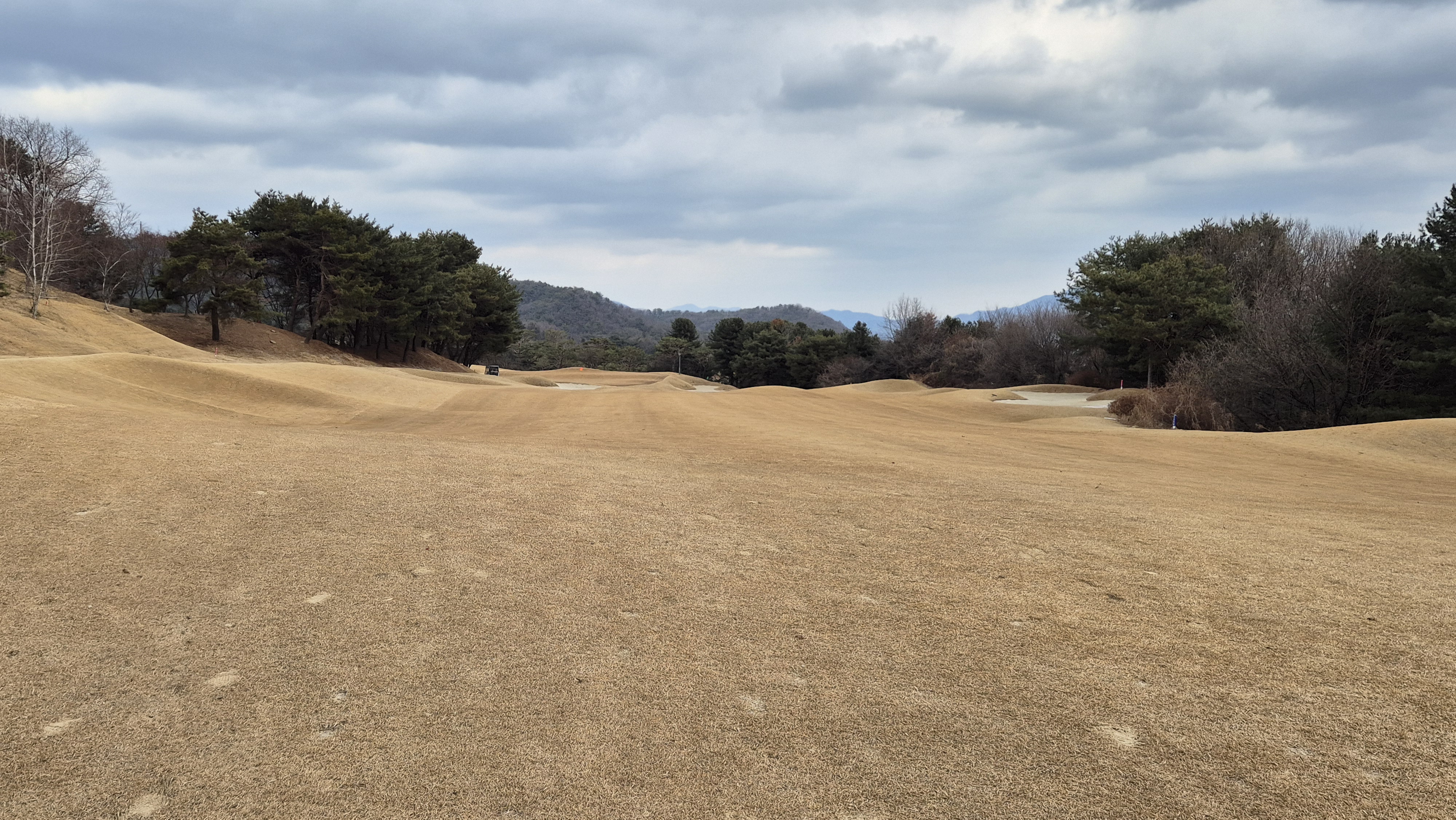 아도니스cc 동-서 코스 사진 및 공략 정보