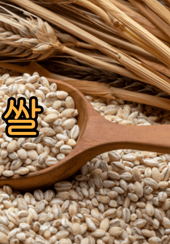 혈당_GI지수_낮은_ 쌀