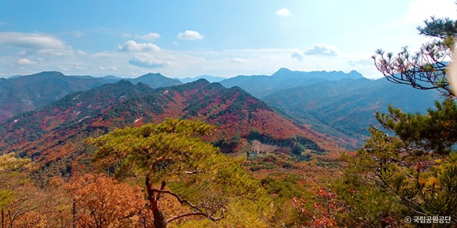 월악산