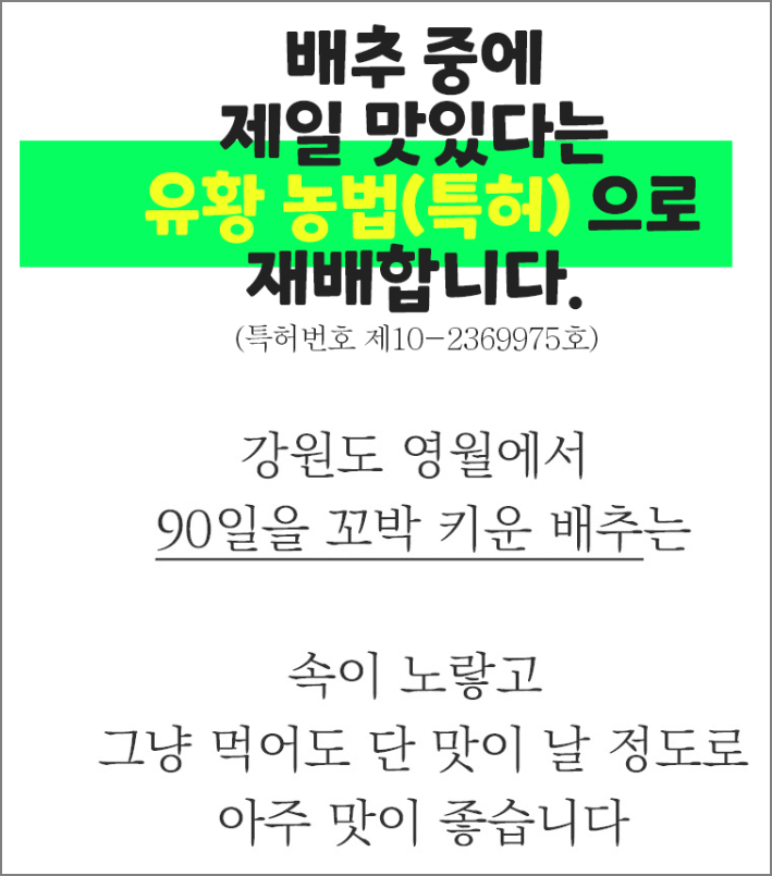 고랭지 절임배추