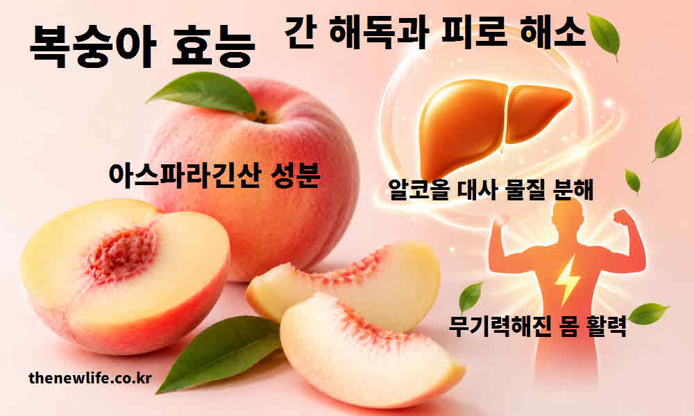 복숭아-효능-간-해독-피로-해소
