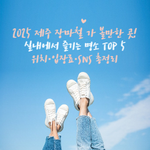 실내에서 즐기는 명소 TOP 5 총정리