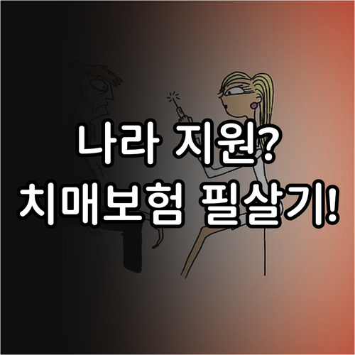 국가 장기요양보험 혜택과 민간 치매보..
