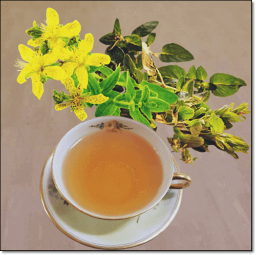 세인트존스워트 차 효능
