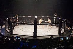 윤형빈 밴쯔 격투기 이슈