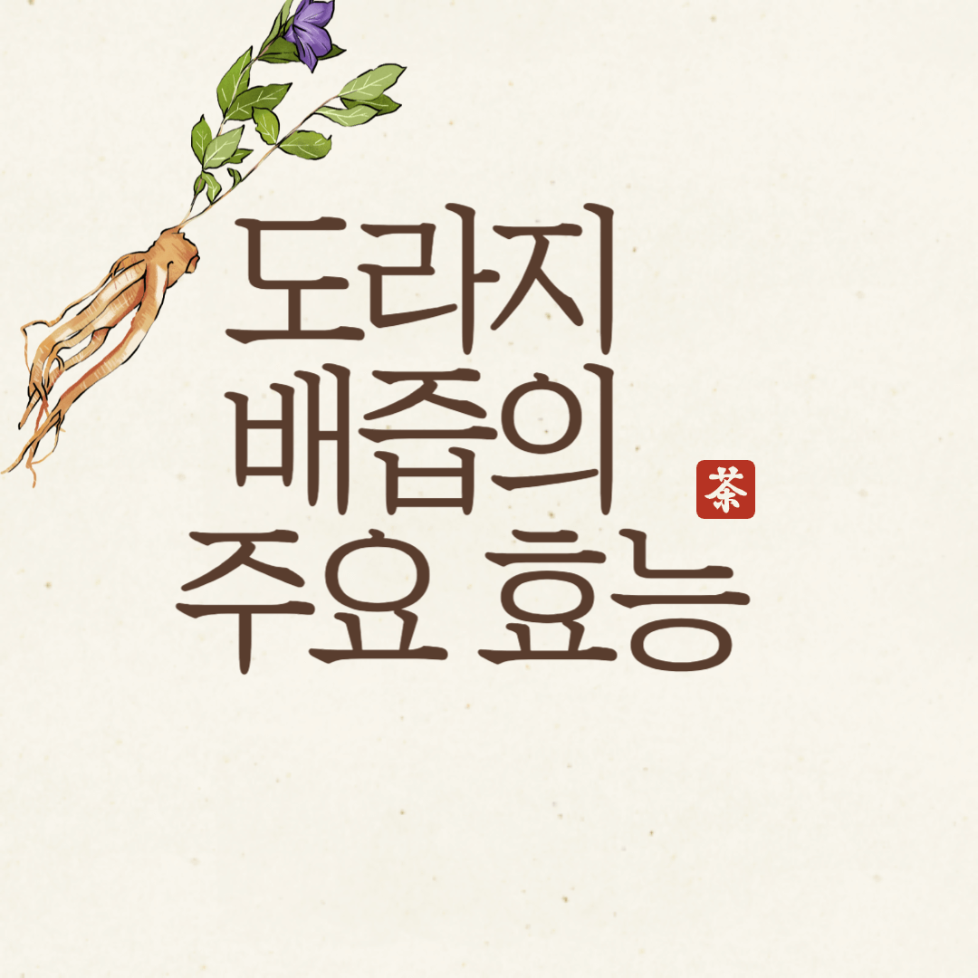 도라지효능관련사진