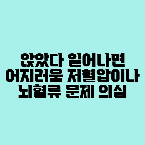 앉았다 일어나면 어지러움 저혈압이나 뇌혈류 문제 의심