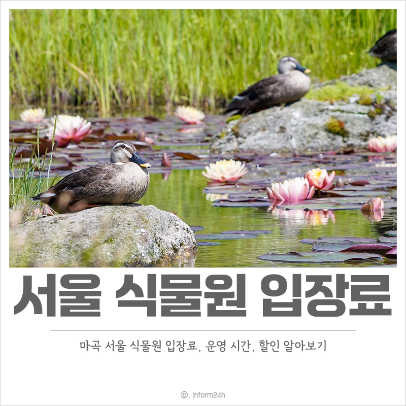 서울-식물원-입장료-운영-시간-할인