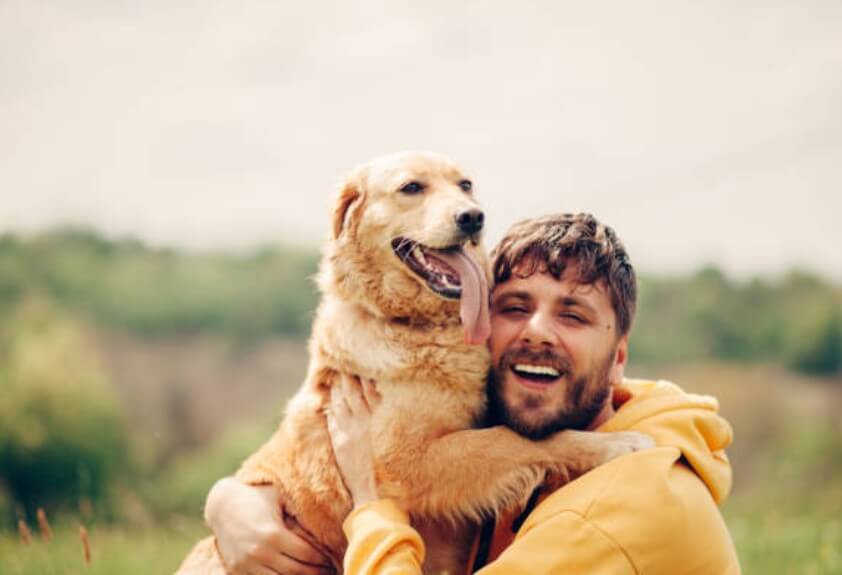 개한테 물리는 꿈