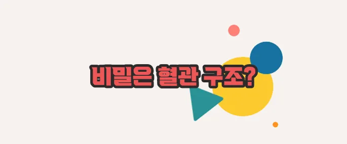 코피가 자주나는 이유 차근차근 살펴보죠