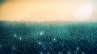 2025년 화담숲 반딧불이 이벤트