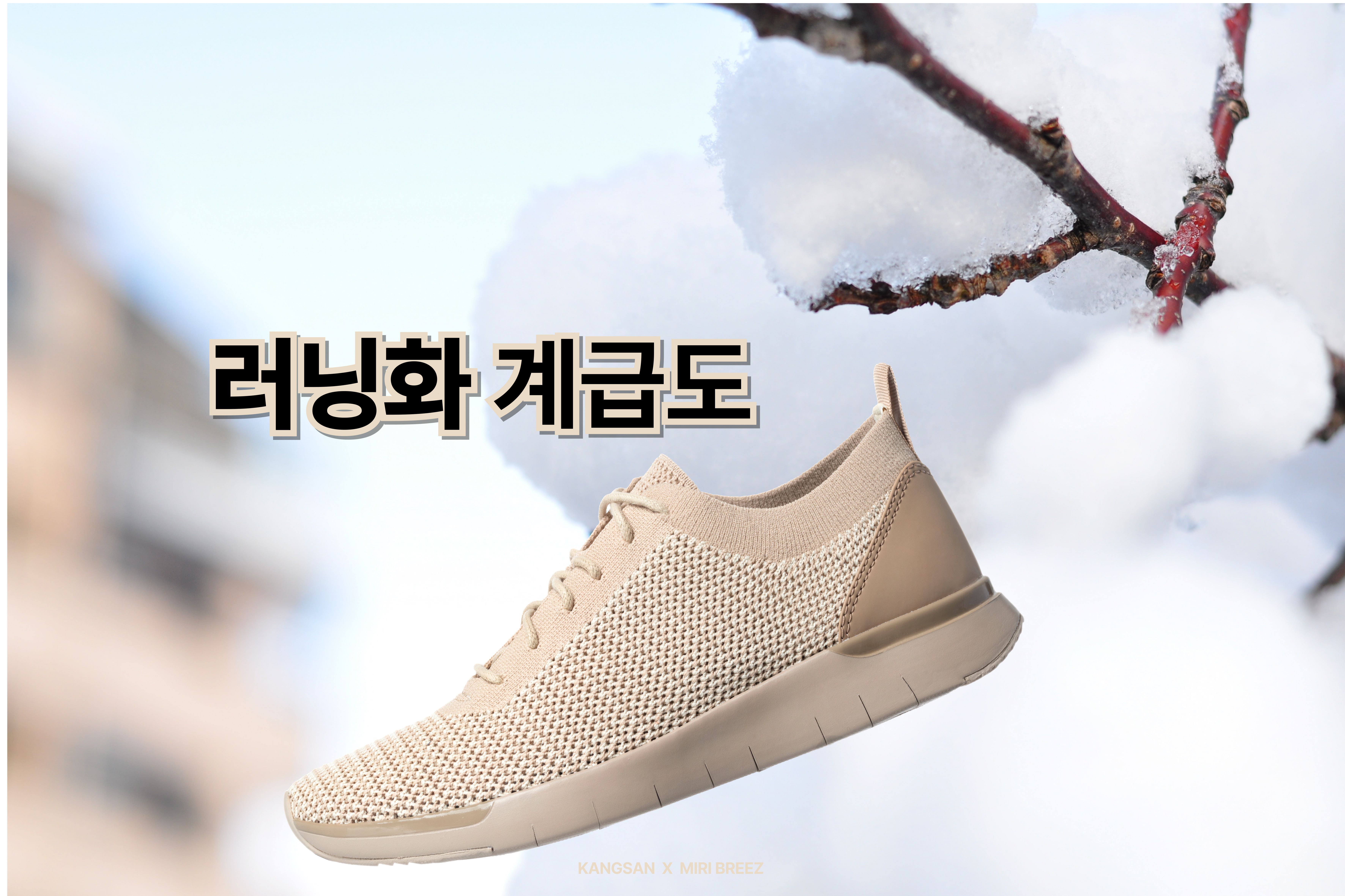 러닝화계급도